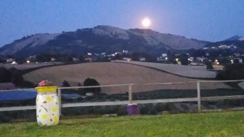 Bed&Breakfast Valeri Artena Exterior foto